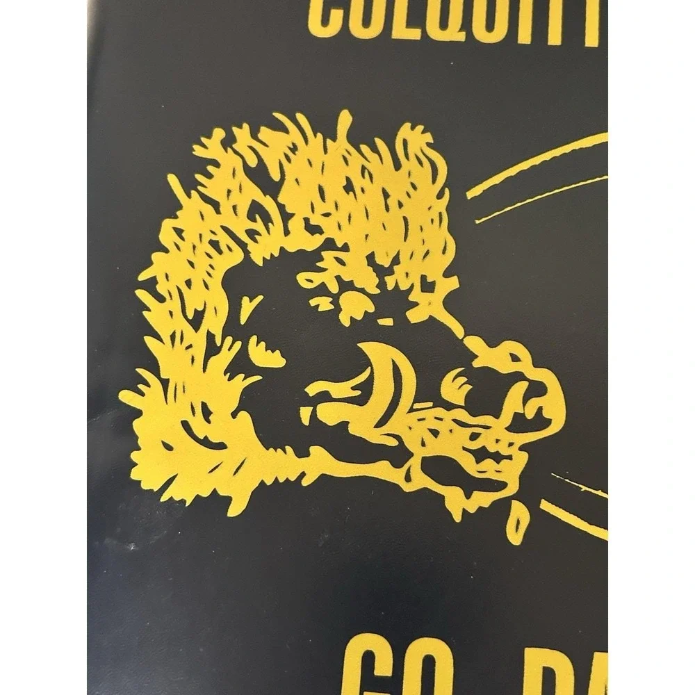 Vintage Colquitt Co Packers Football Stadium Cushion Moultrie GA Advertising
